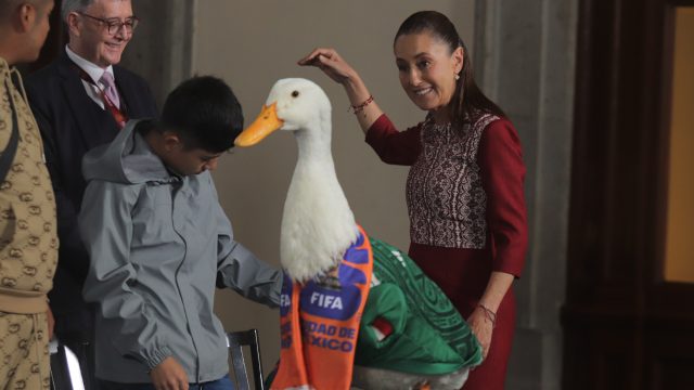Meet Merlin: The Unofficial Mascot Sparking Excitement for 2026 World Cup