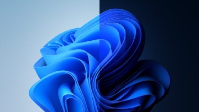Reflecting on Five Years of Windows 11: 