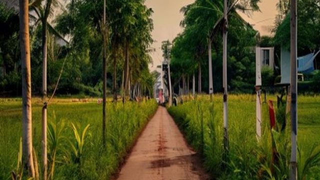 Bangladesh's Ambitious Tree Plantation Initiative: A Path to Carbon Credit Revenue