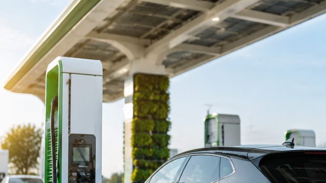 Gridserve Achieves Profitability Amid Su