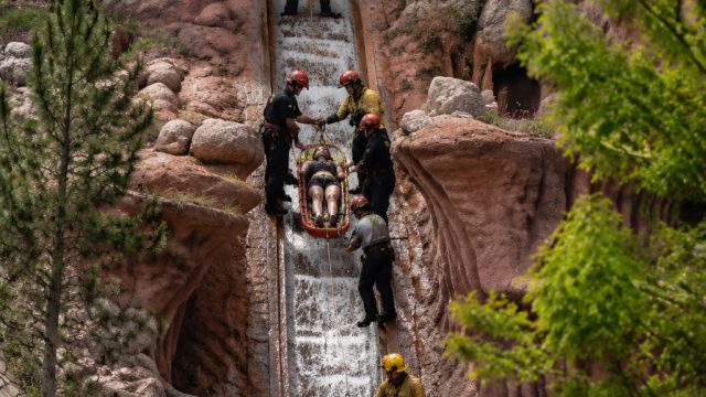 Incident at Disneyland: Visitor Plummets