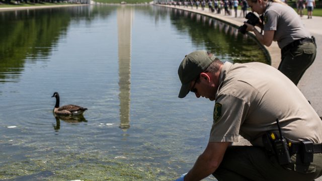 Reflecting Pool Under Investigation Amid